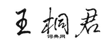 骆恒光王桐君行书个性签名怎么写