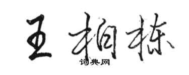 骆恒光王柏栋行书个性签名怎么写