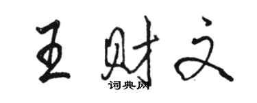 骆恒光王财文行书个性签名怎么写