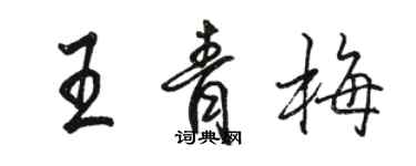 骆恒光王青梅行书个性签名怎么写