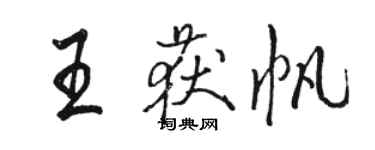 骆恒光王获帆行书个性签名怎么写