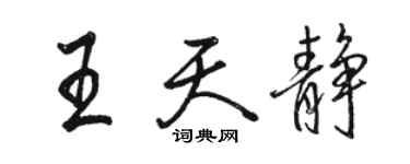 骆恒光王天静行书个性签名怎么写