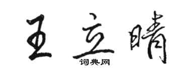 骆恒光王立晴行书个性签名怎么写