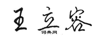 骆恒光王立容行书个性签名怎么写