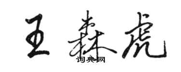 骆恒光王森虎行书个性签名怎么写