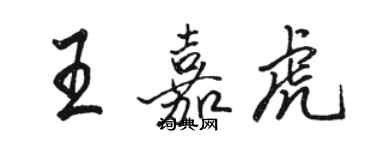 骆恒光王嘉虎行书个性签名怎么写