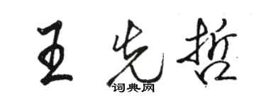 骆恒光王先哲行书个性签名怎么写