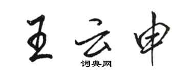骆恒光王云申行书个性签名怎么写
