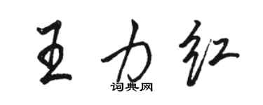 骆恒光王力红行书个性签名怎么写