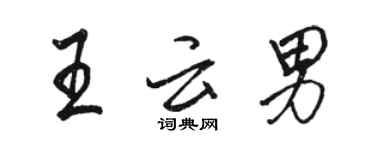 骆恒光王云男行书个性签名怎么写
