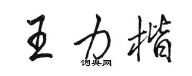 骆恒光王力楷行书个性签名怎么写