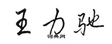骆恒光王力驰行书个性签名怎么写