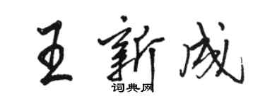 骆恒光王新成行书个性签名怎么写