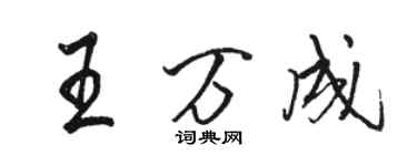 骆恒光王万成行书个性签名怎么写