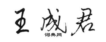 骆恒光王成君行书个性签名怎么写