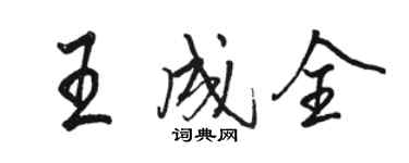 骆恒光王成全行书个性签名怎么写