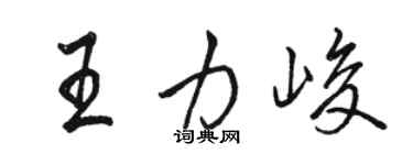 骆恒光王力峻行书个性签名怎么写