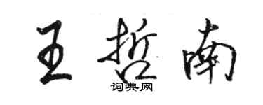 骆恒光王哲南行书个性签名怎么写