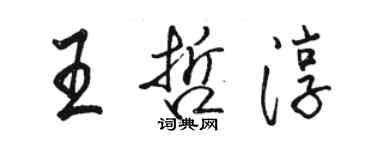 骆恒光王哲淳行书个性签名怎么写