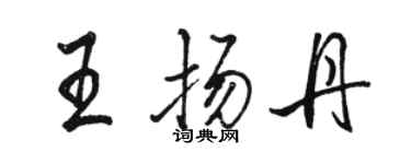 骆恒光王扬丹行书个性签名怎么写
