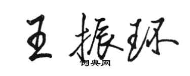 骆恒光王振环行书个性签名怎么写