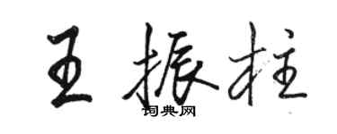 骆恒光王振柱行书个性签名怎么写