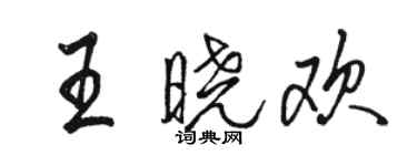 骆恒光王晓欢行书个性签名怎么写