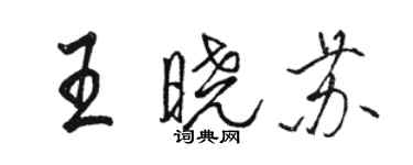 骆恒光王晓苏行书个性签名怎么写