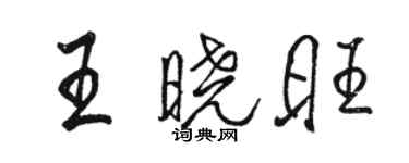 骆恒光王晓旺行书个性签名怎么写