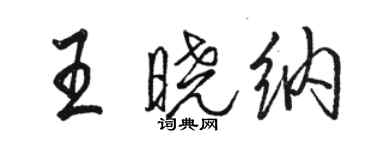 骆恒光王晓纳行书个性签名怎么写
