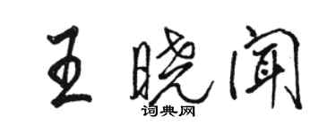 骆恒光王晓闻行书个性签名怎么写