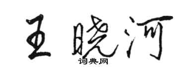 骆恒光王晓河行书个性签名怎么写