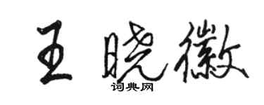骆恒光王晓徽行书个性签名怎么写