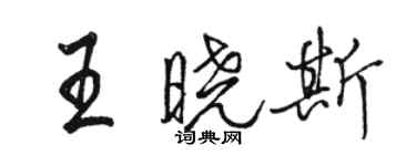 骆恒光王晓斯行书个性签名怎么写