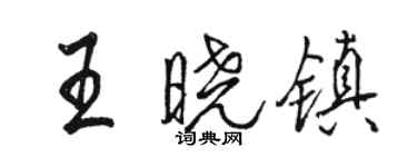 骆恒光王晓镇行书个性签名怎么写