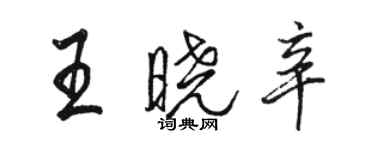 骆恒光王晓辛行书个性签名怎么写