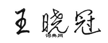 骆恒光王晓冠行书个性签名怎么写