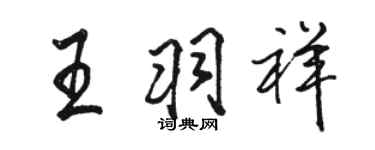 骆恒光王羽祥行书个性签名怎么写