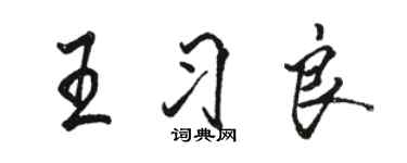骆恒光王习良行书个性签名怎么写