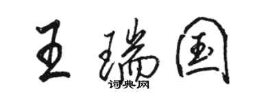 骆恒光王瑞国行书个性签名怎么写