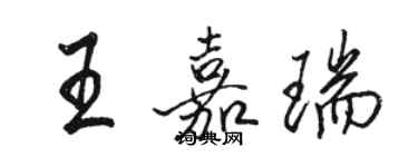 骆恒光王嘉瑞行书个性签名怎么写
