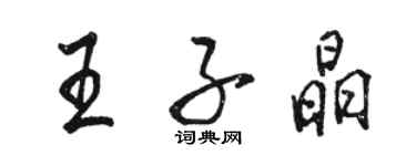 骆恒光王子晶行书个性签名怎么写