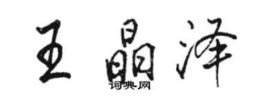 骆恒光王晶泽行书个性签名怎么写