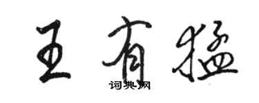 骆恒光王有猛行书个性签名怎么写
