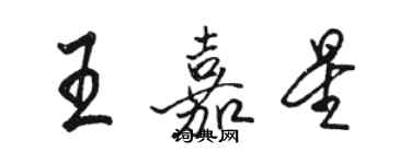 骆恒光王嘉星行书个性签名怎么写