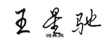 骆恒光王星驰行书个性签名怎么写
