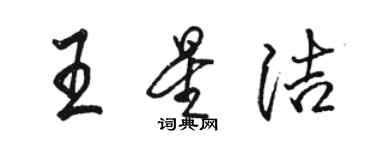骆恒光王星洁行书个性签名怎么写