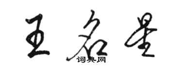 骆恒光王名星行书个性签名怎么写