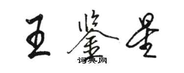 骆恒光王鉴星行书个性签名怎么写