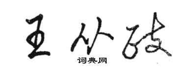 骆恒光王从政行书个性签名怎么写